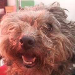 my anxiety and problems  (prod.høpes)