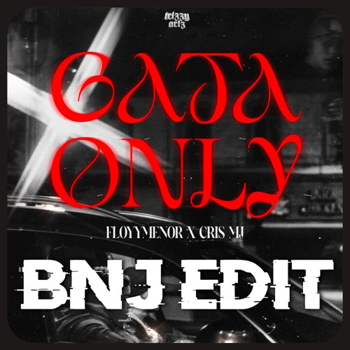 Floyymenor Ft. Cris Mj - Gata Only (BNJ INTRO EDIT) **FREE DOWNLOAD**