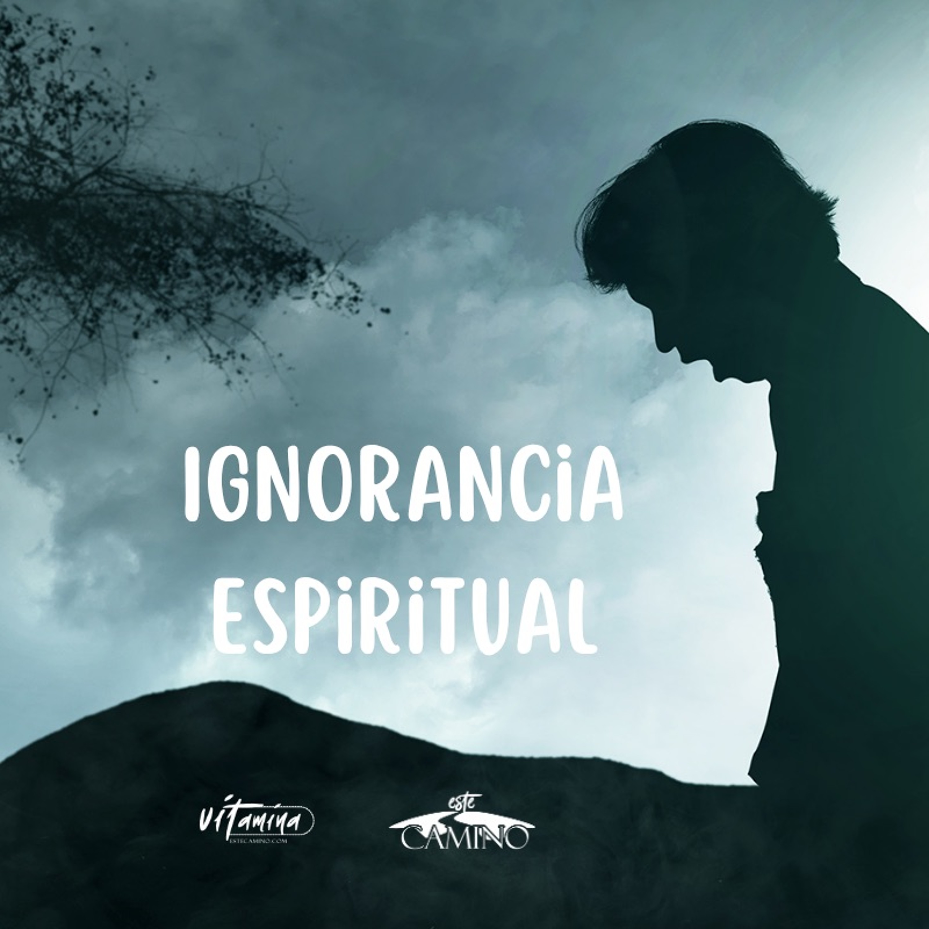 Ignorancia espiritual, Bruno Gentina episode artwork