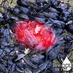 ZEMOTED - DeadBird 2