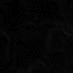 X1