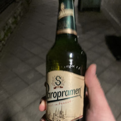 Ариэль-В краю магнолий (slowed rewerb)