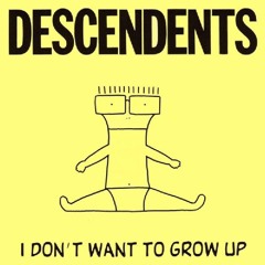Descendents - Good Good Things