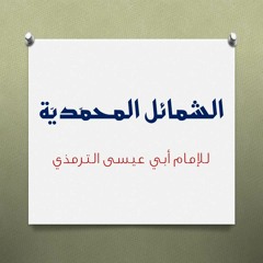 05 الشمائل المحمدية | خاتم النبوة | محمد مصطفى عبد المجيد