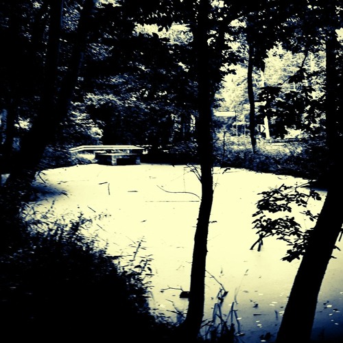 The Deep Way #6