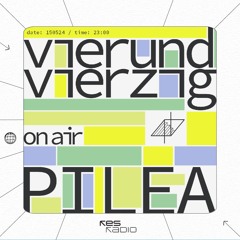 vierundvierzig #50 w/ PILEA