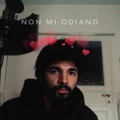 Non mi odiano ma la canta Drake