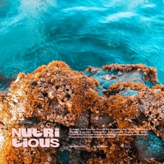 Nutritious : Live at Mycologia Festival : DoubleBlind Magazine : Cuyama Desert California