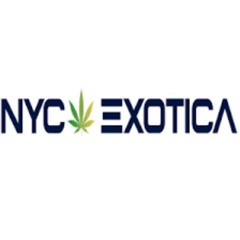 The Rise of Recreational Cannabis in NYC: A New Era Begins