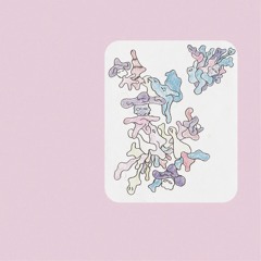 Lune demi aile - Semi Full Soft (16.01.23)