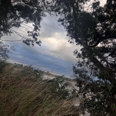 maison sinclair - innocence