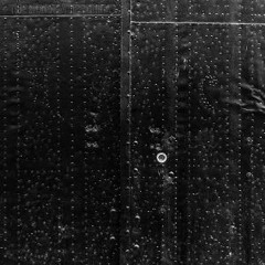 DANE (Feat.  BLAVKGÜARD)