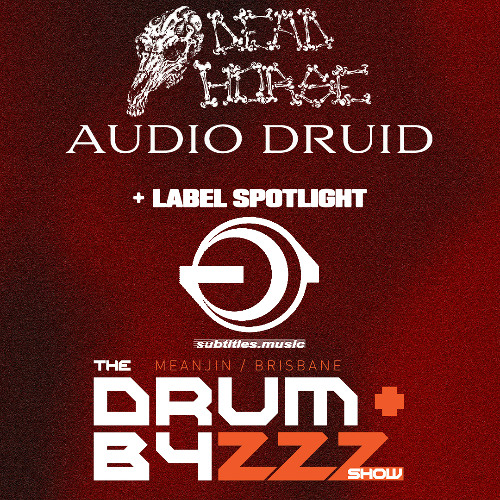 TBDNBS S4E17 w/Obzerve ft. Audio Druid