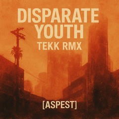 Disparate Youth - TEKK RMX [ASPEST]