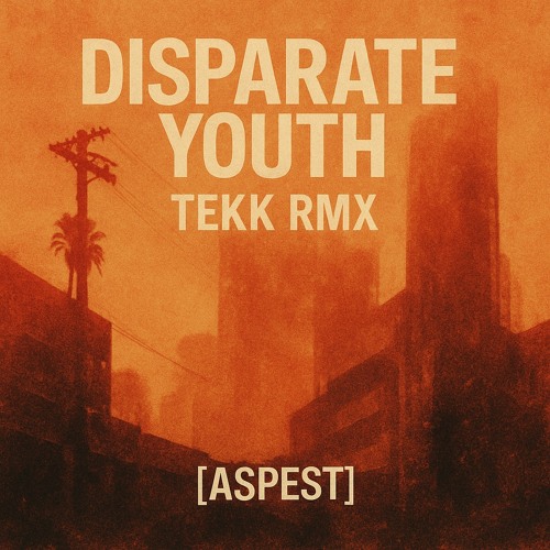 Disparate Youth - TEKK RMX [ASPEST]