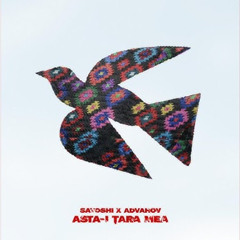 Satoshi x Advahov - Asta-i Țara Mea