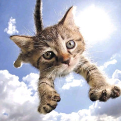 take it all off @booka #jerseyclub (rexv2)