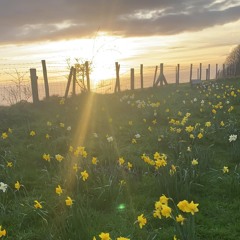 drippin so pretty - destiny [slowed + reverb]