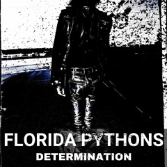 Florida Pythons - Determination