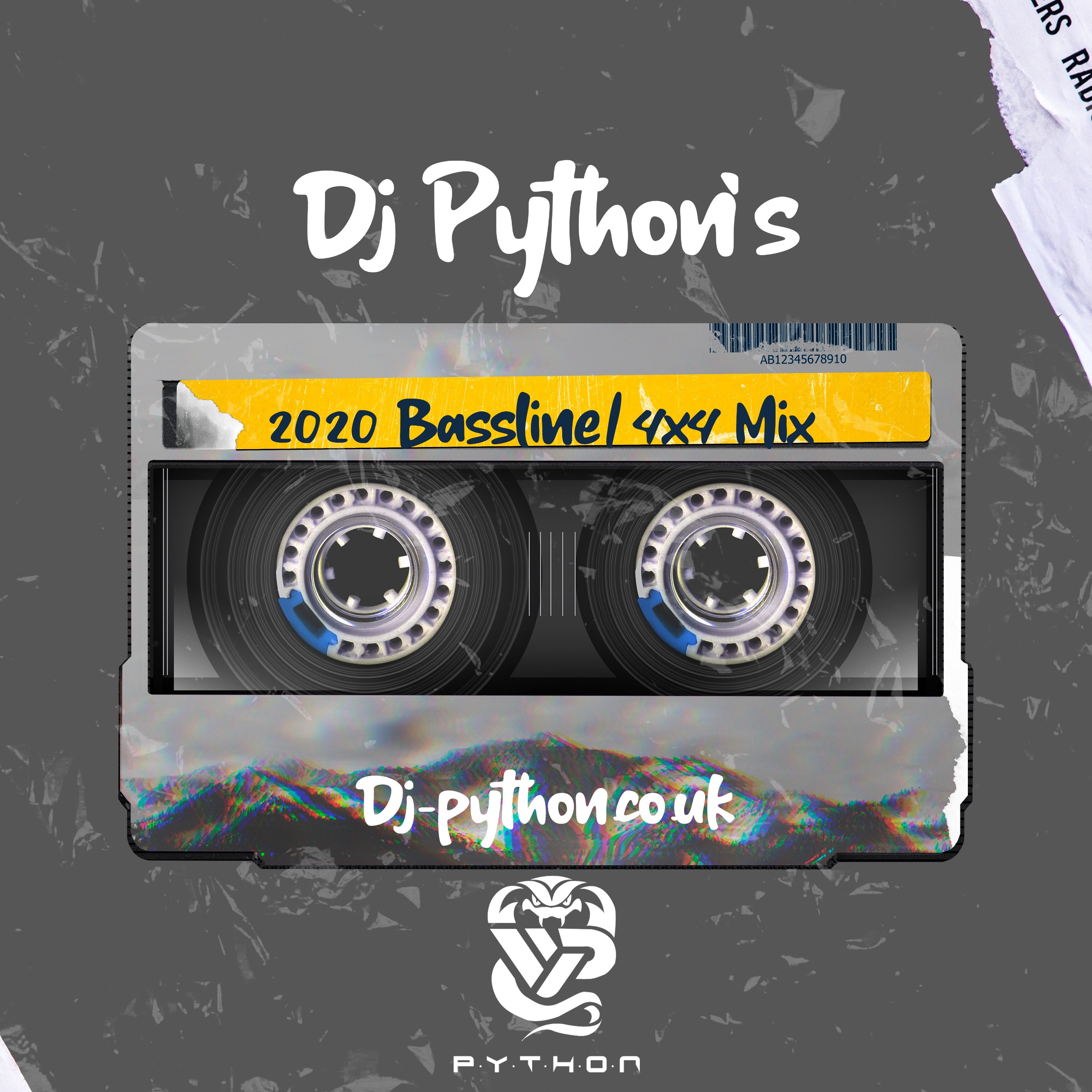 Dj Python - 2020 Bassline/4x4 Mix episode artwork