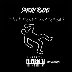Smerf1600 - What Really Happened (official audio)