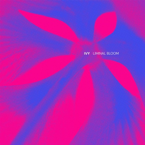 IVY - Bishop (Conrado Stein Remix)