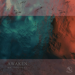 Awaken
