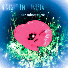 A Night In Tunisia (Fluegelhorn Cover)