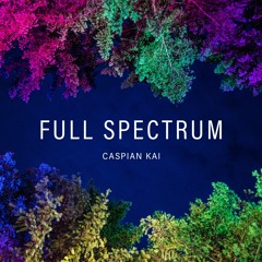 Full Spectrum DNB