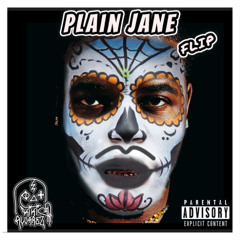 PLAIN JANE TEAROUT FLIP