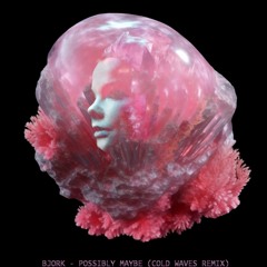 Bjork - Possibly Maybe (Cold Waves Remix)