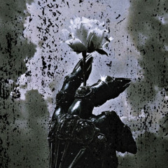 Fallen order w/SkxrVxker