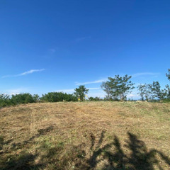 Properties for Sale in Piemonte