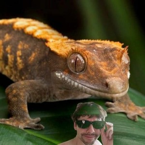 Le béguin pour blàr m_ [Saône Check] (15.03.23)