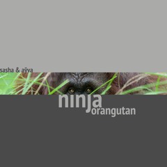 sasha & aўva - ninja orangutan