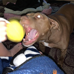 Checks by suspect (Feat. Tiger Uzumaki)