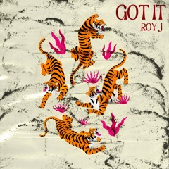 Roy J - Got It (Extended Mix)