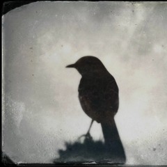 2021 Experimental Works