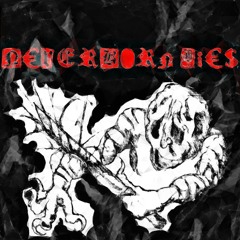 Stream NeverBorn | Listen to Peste Noire playlist online for free