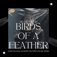 Billie Eilish - Birds Of A Feather (Carlos Fas & Vicente Fas Afro House Remix) Filtered Acapella.