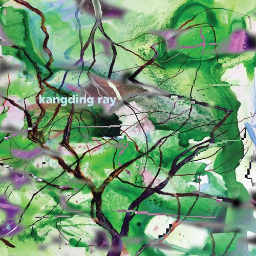 Kangding Ray - Branches EP (FIGUREX28)