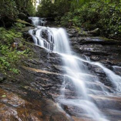 Review Special Price Bartram Trail Hike Plus Wine Tasting