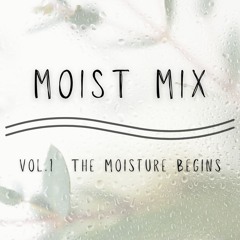 Moist Mix Vol. 1 The Moisture Begins