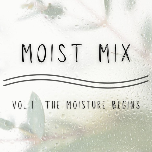 Moist Mix Vol. 1 The Moisture Begins