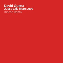David Guetta - Just A Little More Love (Inache Remix)[White Label]