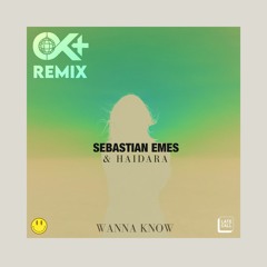 Sebastian Emes & Haidara - I Wanna Know (OK+ Remix)