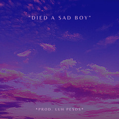 "died a sad boy" FREE PlayBoi Carti x Peirre Bourne Type Beat