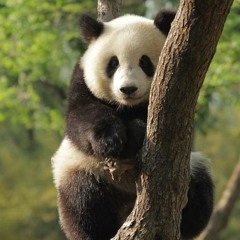 [Exposure Podcast] 005 | Ferrøn - Groovelicious