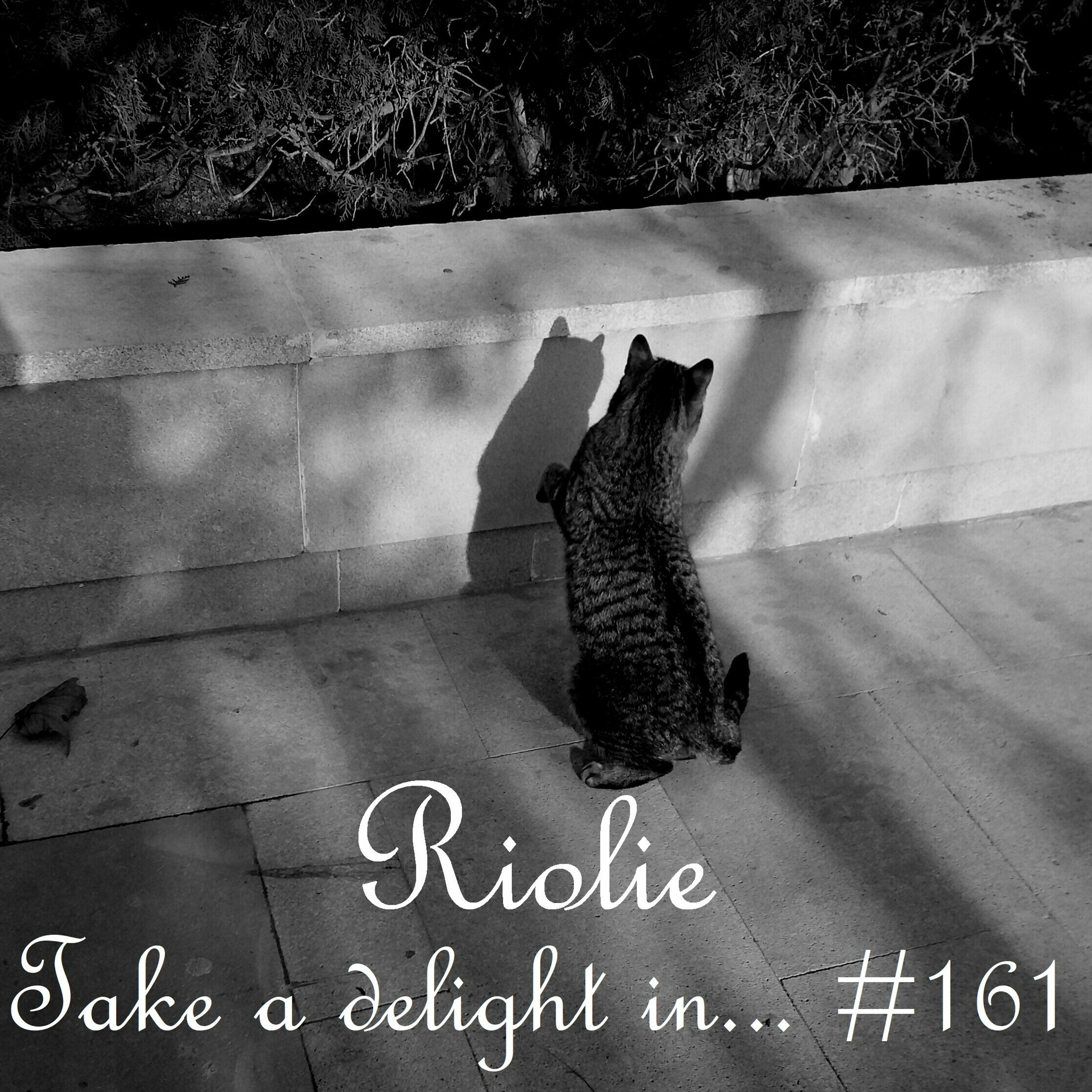 Take a delight in