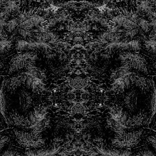Massacre The Logical Revolts